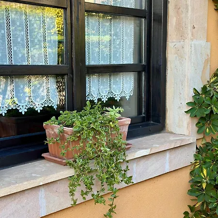 Mayorazgo De Altamira Marias *