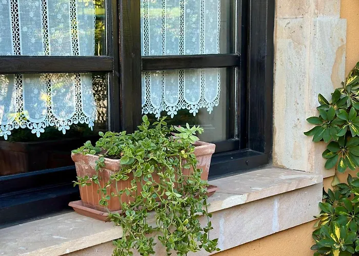 Mayorazgo De Altamira Marias *